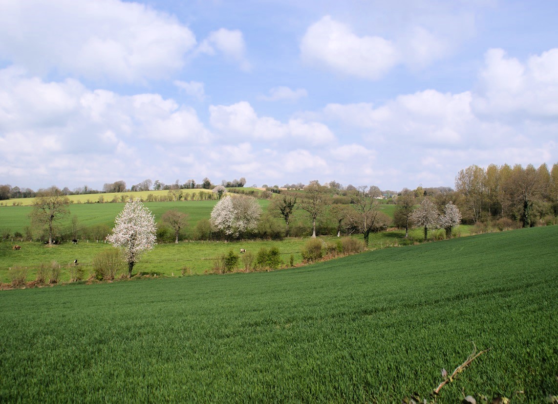 Bocage Normand, Orne