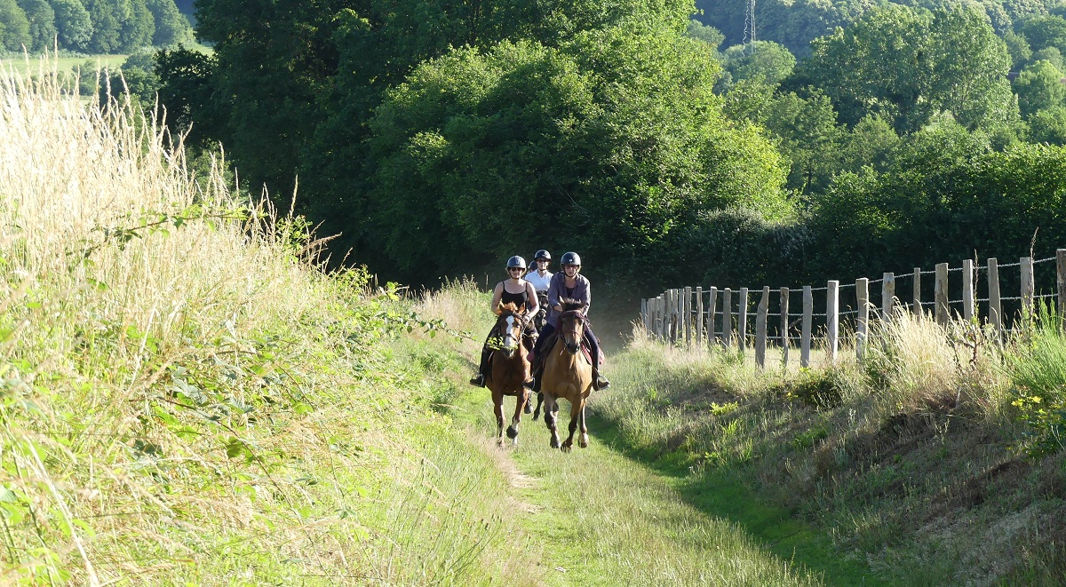 Balade à cheval dans l'Orne