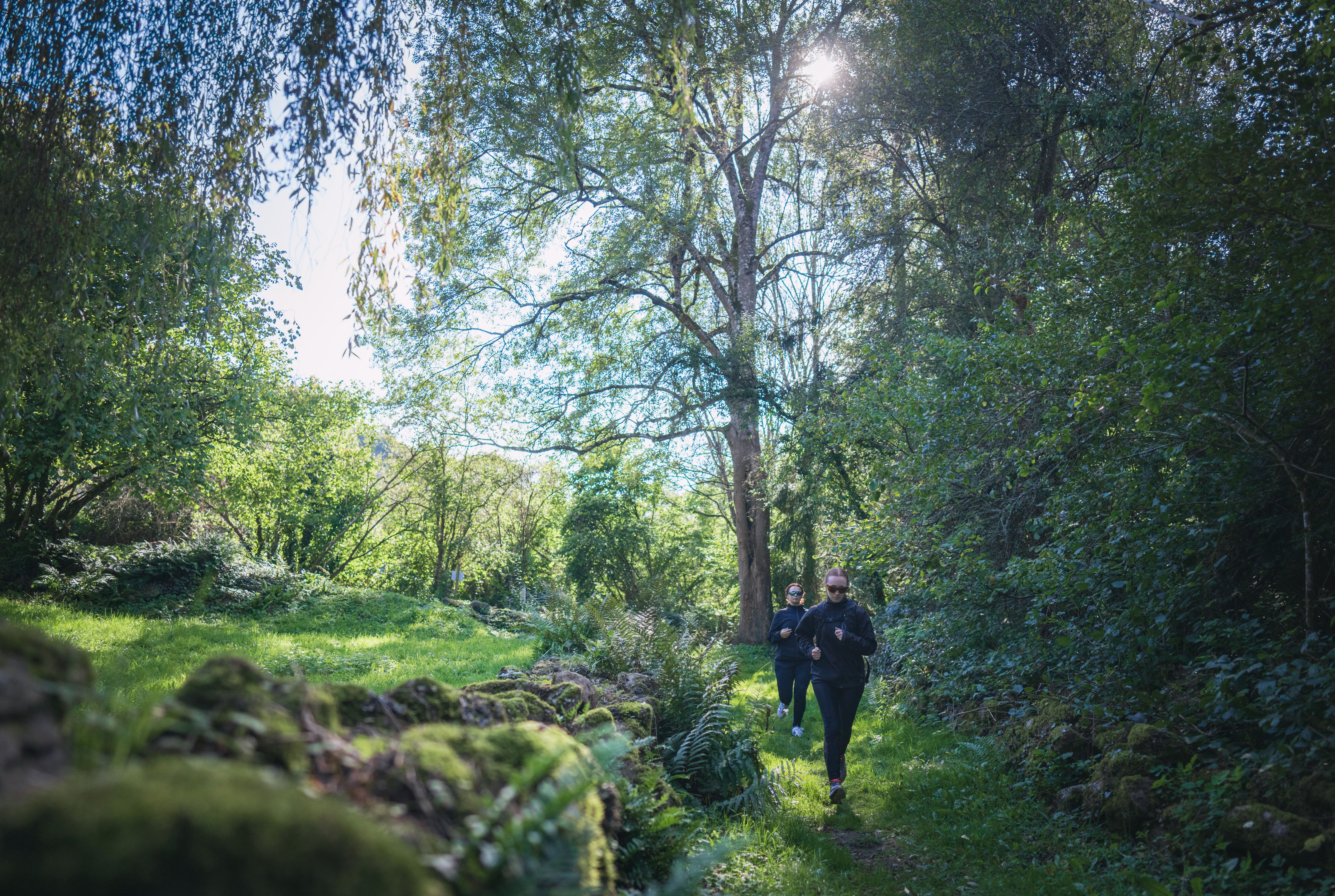 Trail en Suisse Normande