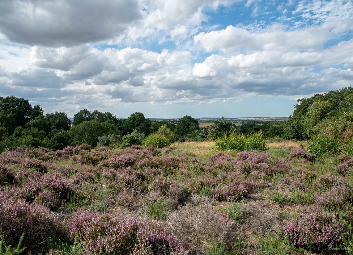 Le Vaudobin, Espace Naturel Sensible de l'Orne en Normandie