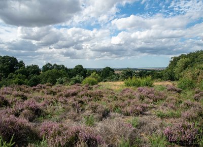 Le Vaudobin, Espace Naturel Sensible de l'Orne en Normandie