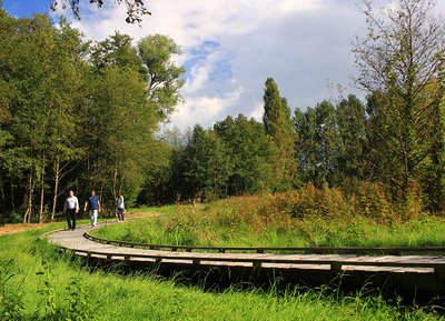 Sentier des Vallées et marais de Bretoncelles