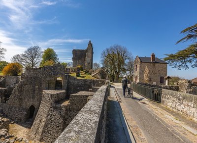 Château de Domfront en Poiraie