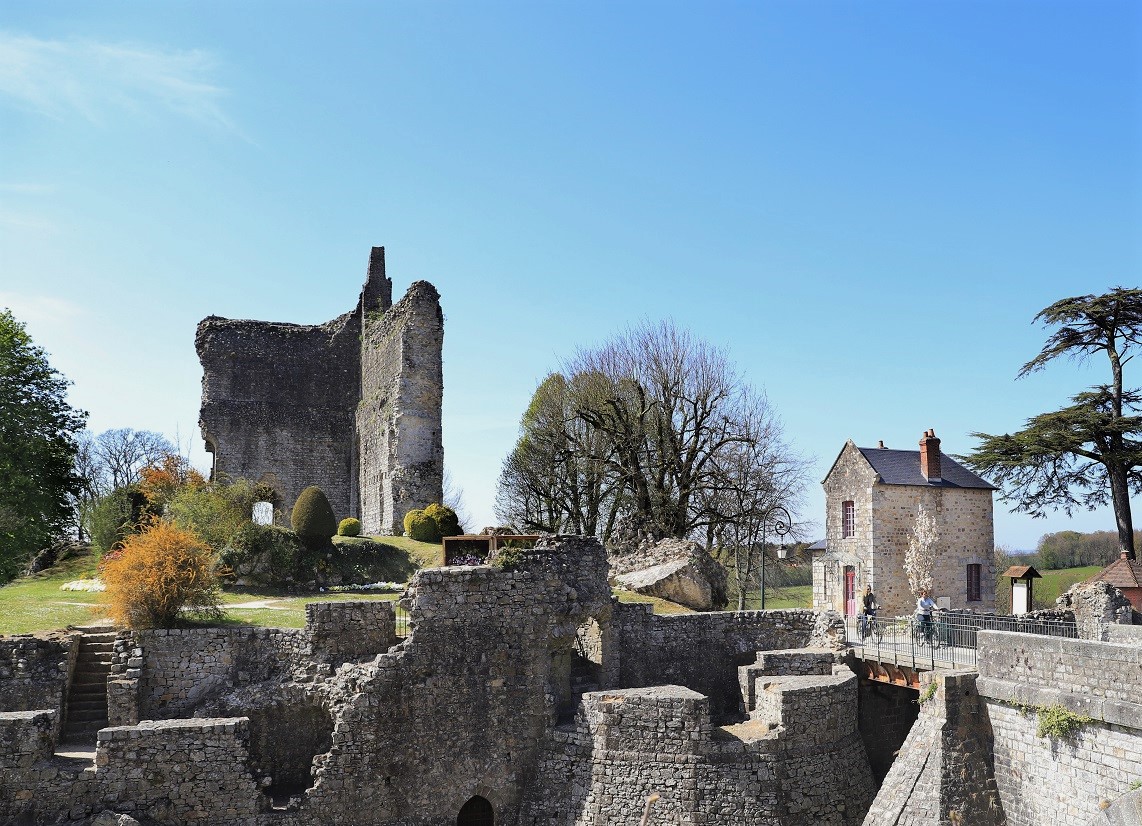 Château de Domfront en Poiraie