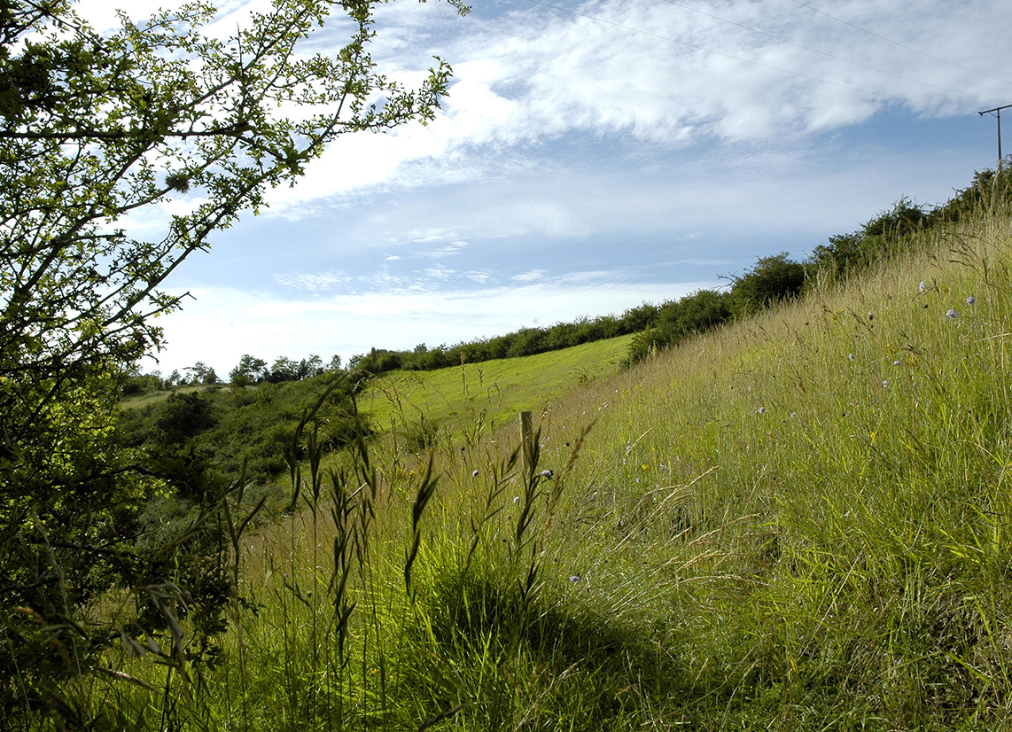 Sentier du coteau de la Bandonnière