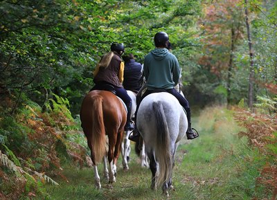 Randonnée à cheval dans l'Orne en Normandie