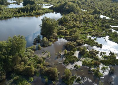 Le Marais du Grand Hazé à Briouze