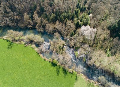 Meandres de l'Orne : au fil de l'Orne