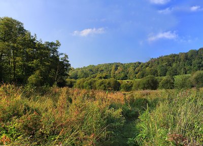 Sentier Les Prairies de Campigny